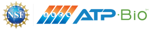 new_2025_atp-bio-logo-with-sm-nsf-logo-1